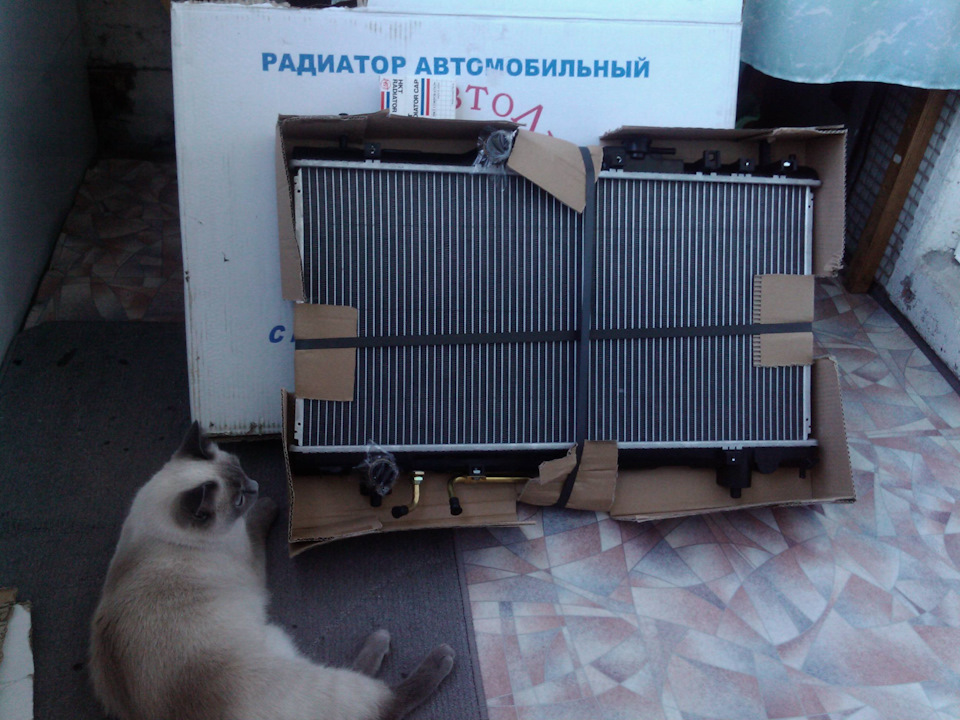 Фото в бортжурнале Toyota Corona Premio (T210)