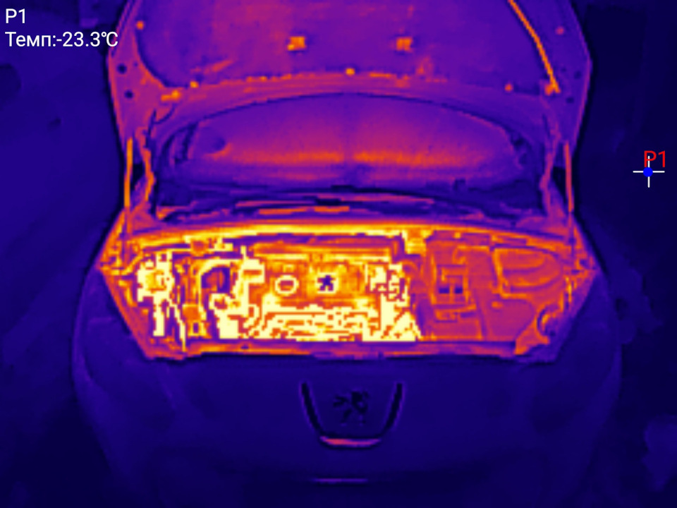 Peugeot 308 (1G) modelinin kayıt defterindeki fotoğraf.