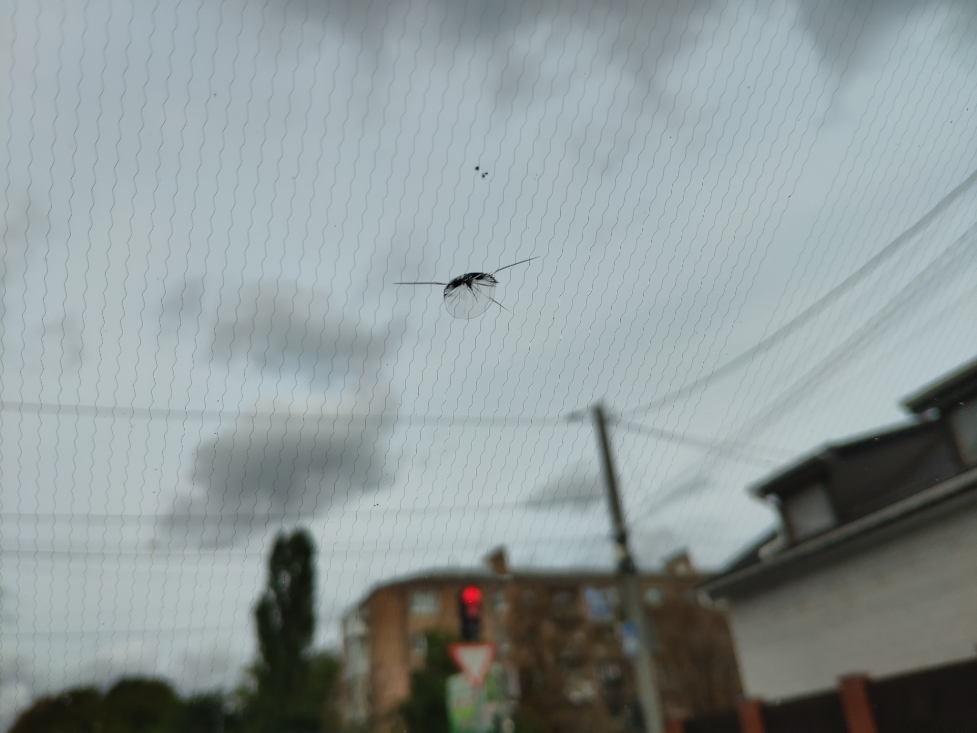 Прилетел камень в лобовое — Mitsubishi Outlander PHEV, 2 л, 2015 года ...