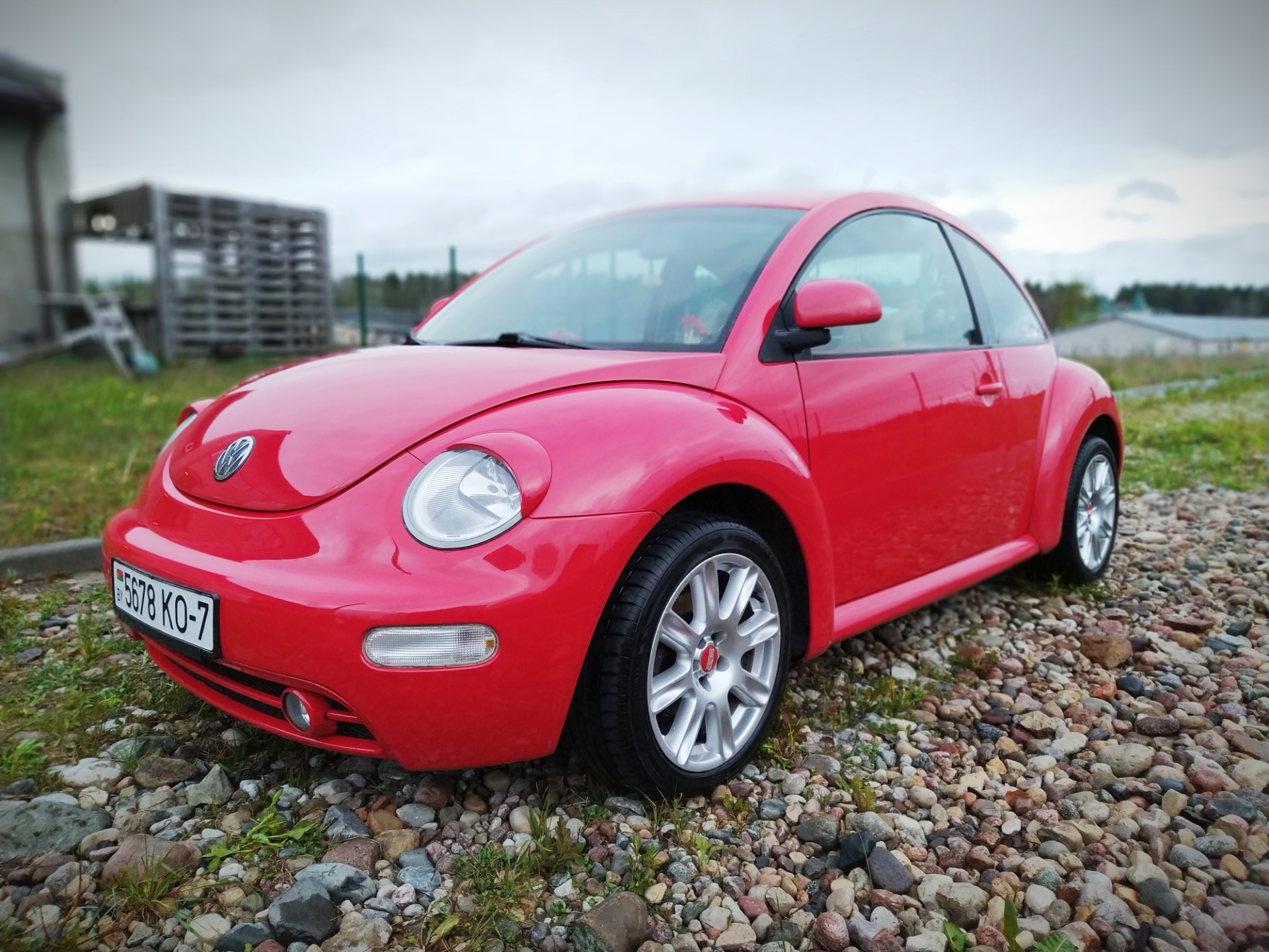 VW New Beetle хамелеон