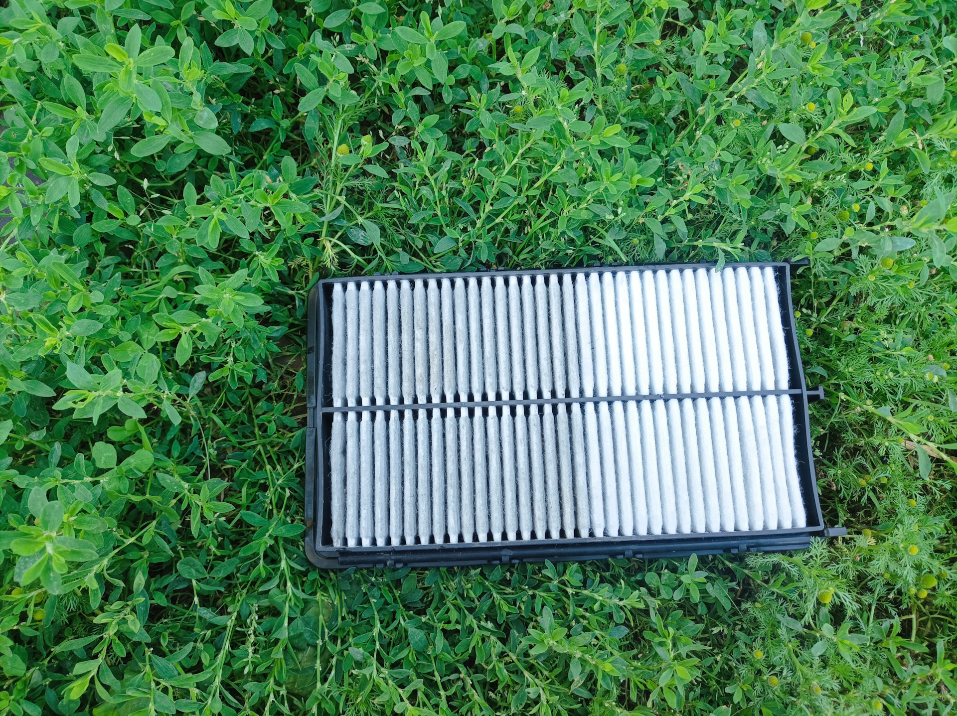 Просрочка ТО — KIA Sorento (3G), 2,2 л, 2017 года | расходники | DRIVE2