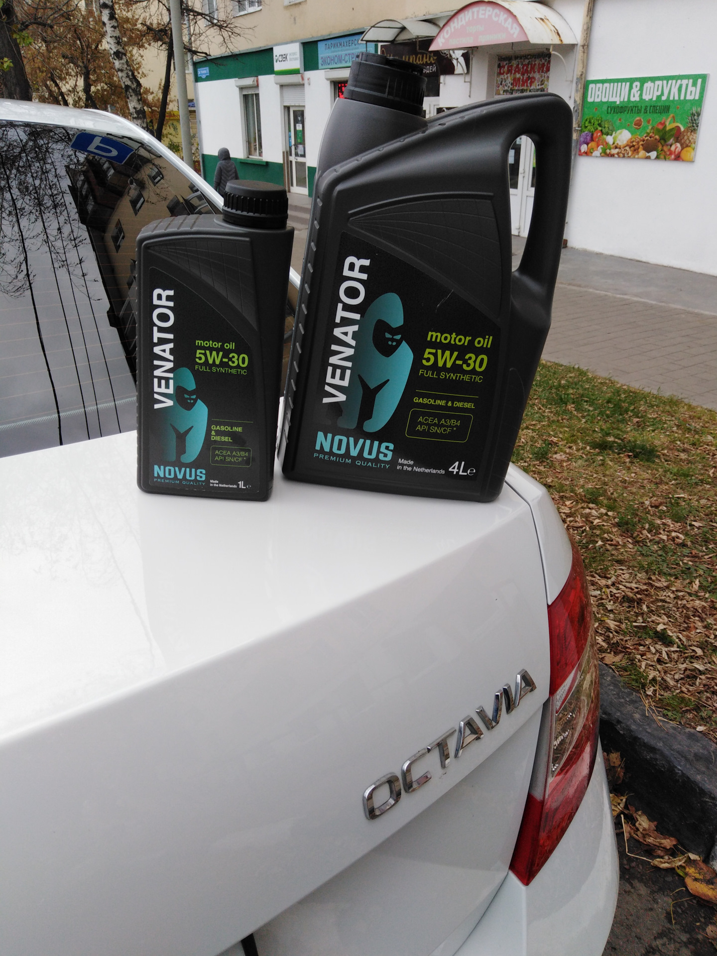 Octavia a5 масло