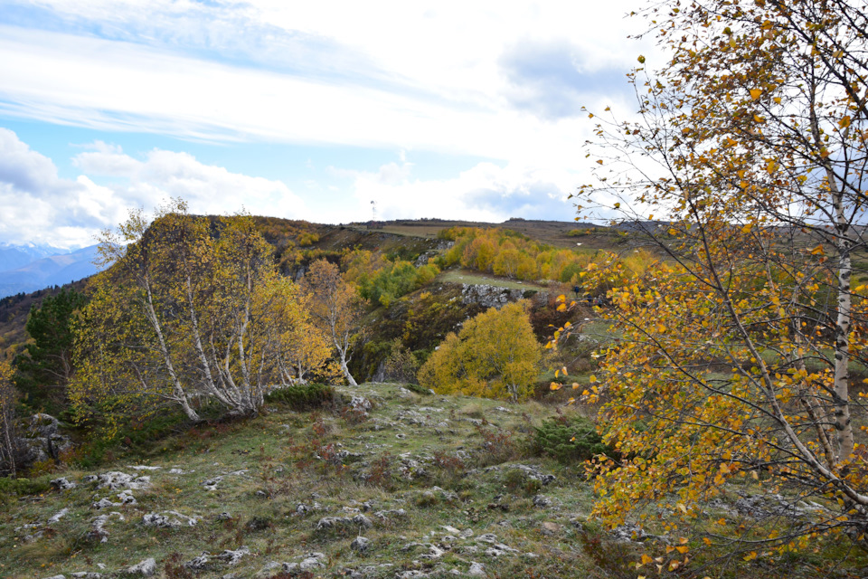 Фото в бортжурнале Renault Duster (1G)