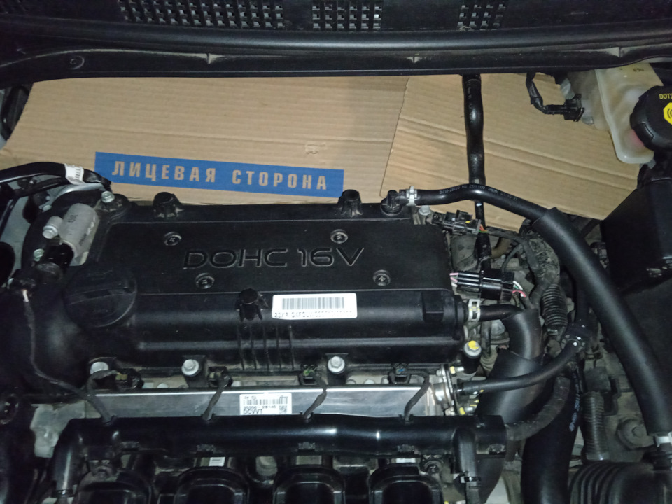 "НЕТ" кошакам под капотом! — 2 — Hyundai Solaris (2G), 1,6 л, 2021 года ...