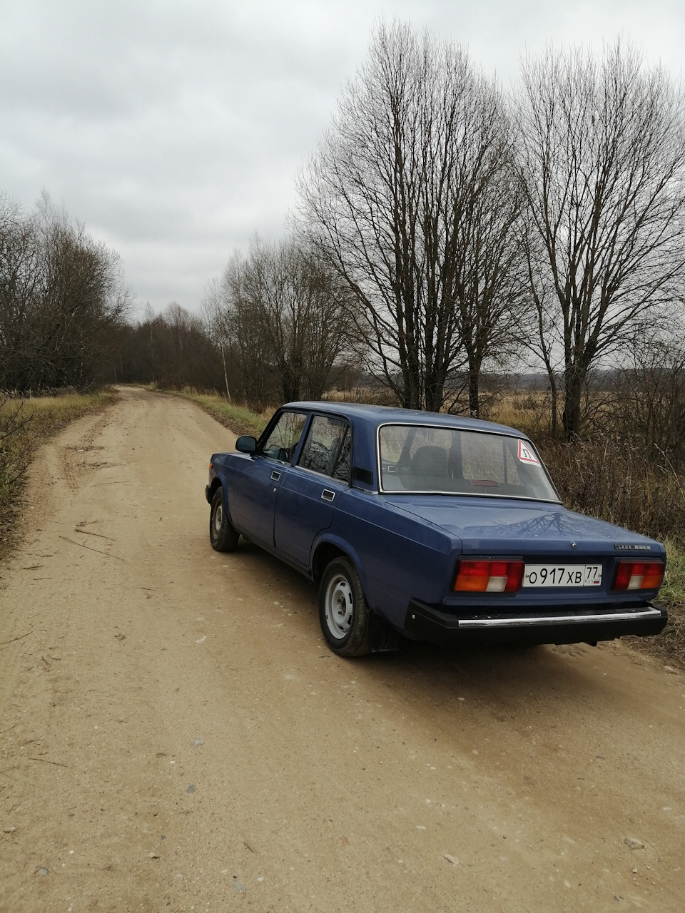 11. Вывоз листьев, не дорого — Lada 21053, 1,6 л, 2006 года | другое |  DRIVE2