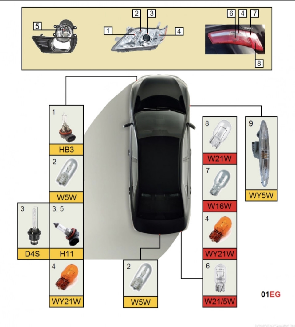 Тип всех ламп и цоколь подключение Toyota Camry Тойота Камри — Toyota Camry  (XV40), 3,5 л, 2008 года | расходники | DRIVE2