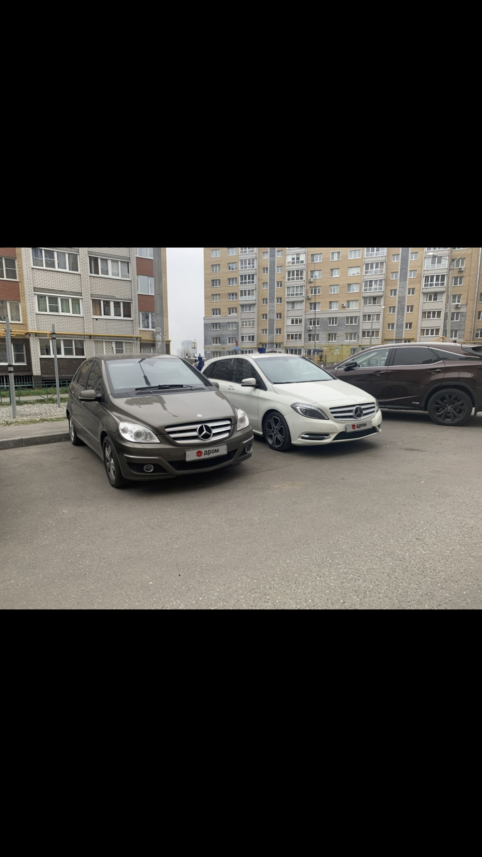 Встреча с беляшом — Mercedes-Benz B-Class (W246), 1,6 л, 2014 года |  наблюдение | DRIVE2