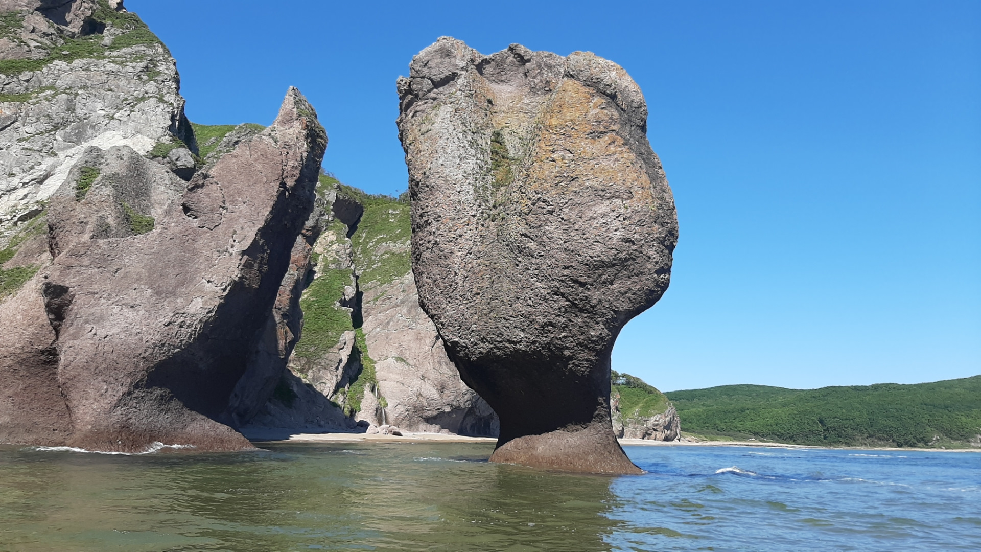 Бухта дубовая фото