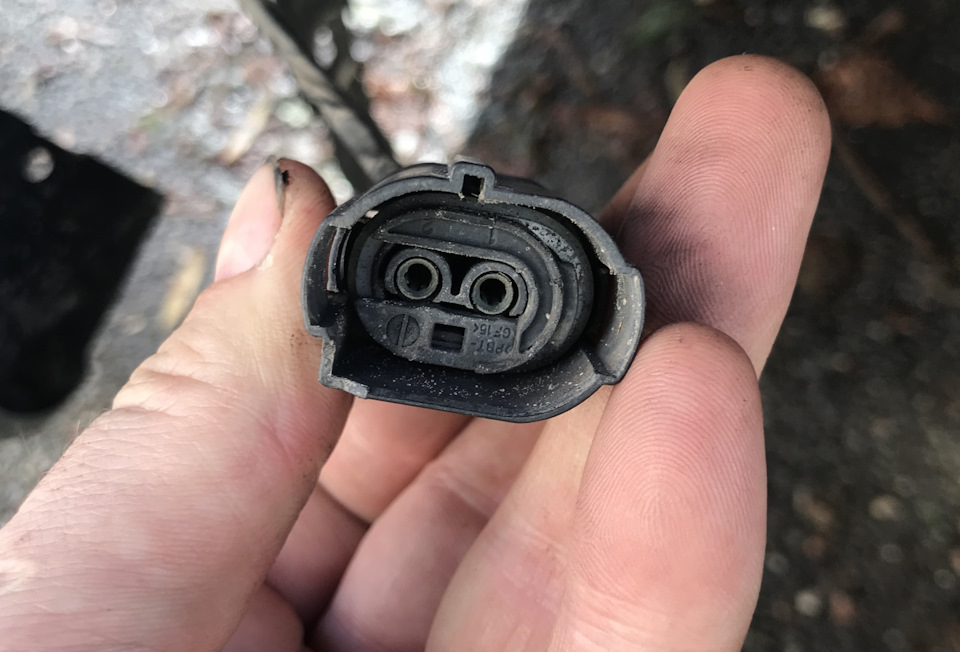 ПТФ — замена разьема с дореста на рест — BMW 5 series (E39), 3 л, 1999 ...