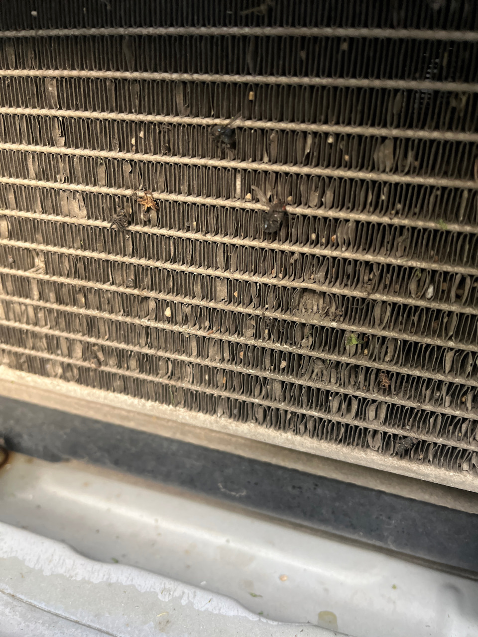 #5. Сетка в бампер — Honda Fit (3G), 1,3 л, 2019 года | своими руками ...