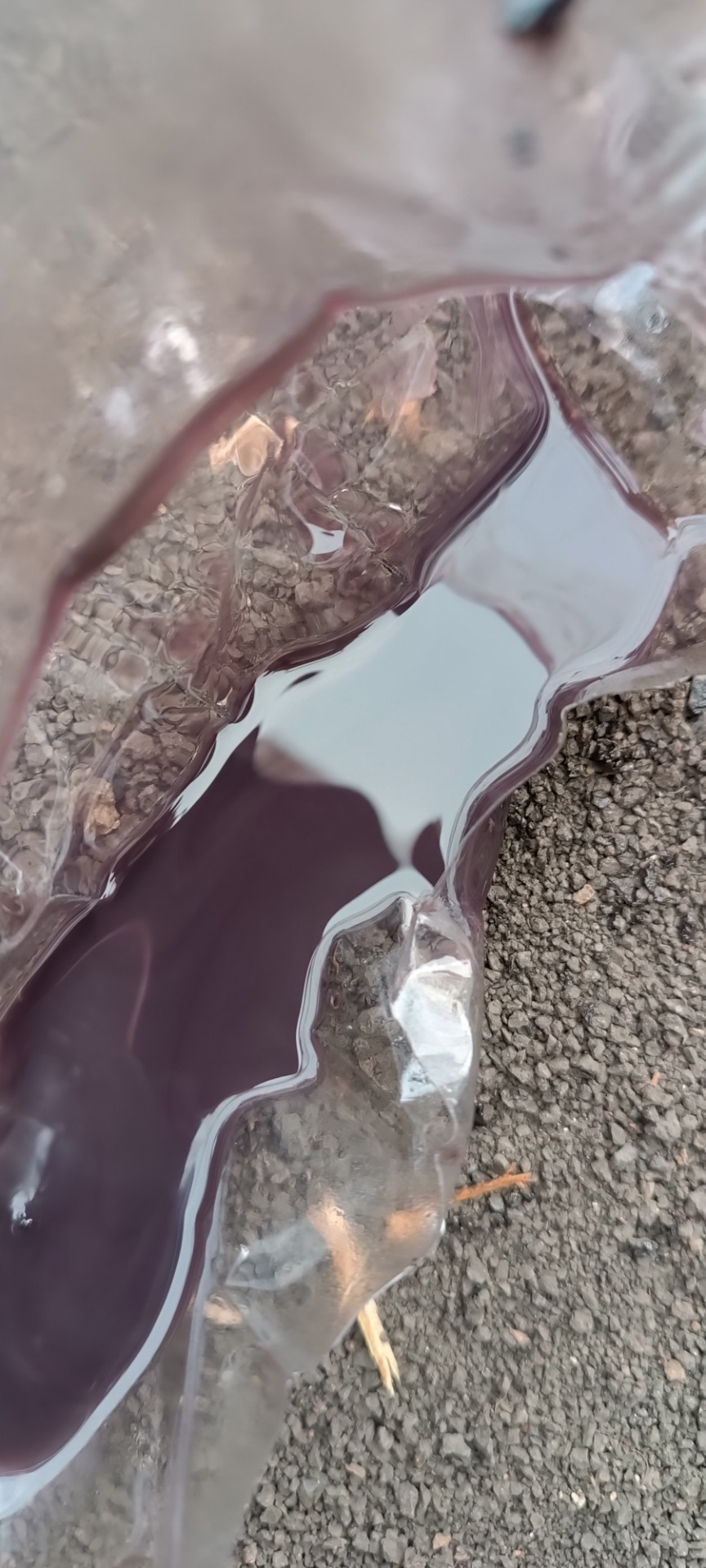 Замена жидкость в ГУРе — BMW X5 (E53), 3 л, 2005 года | своими руками ...