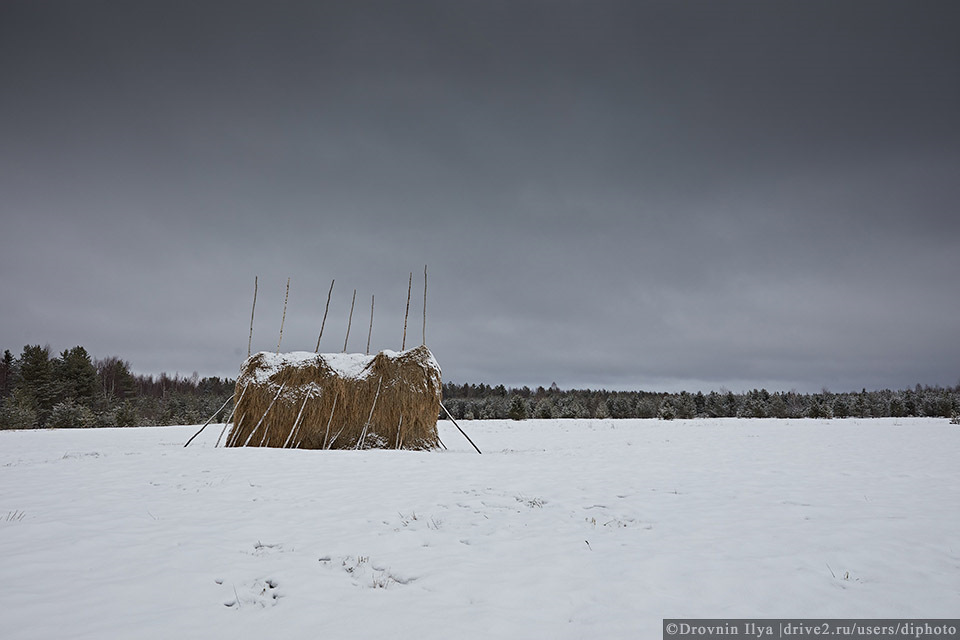 Таёжная тропа лёха. Архангельск Тайга.