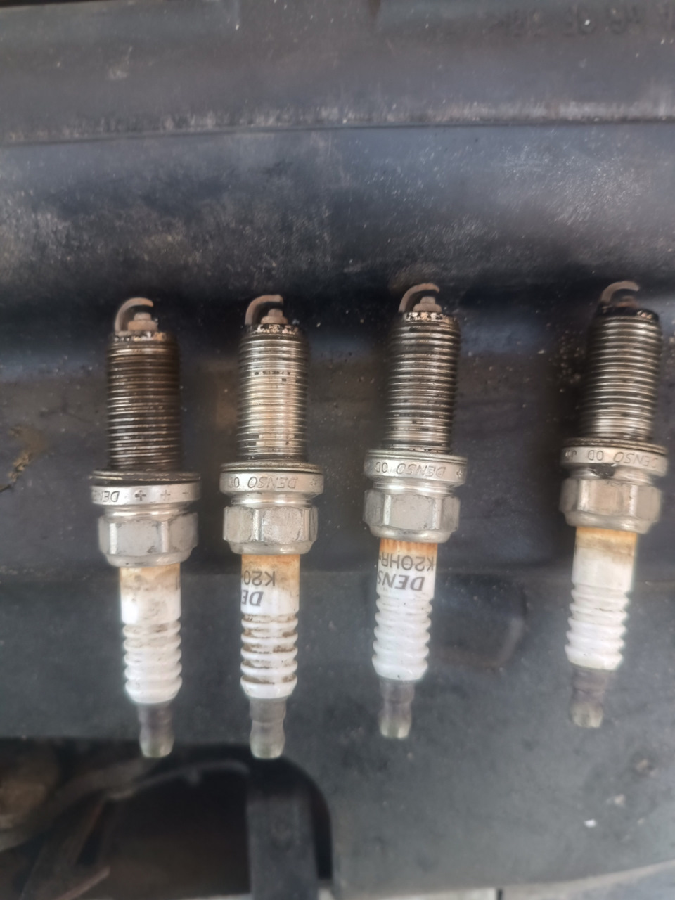 Мои старые — Nissan Primera (P12)