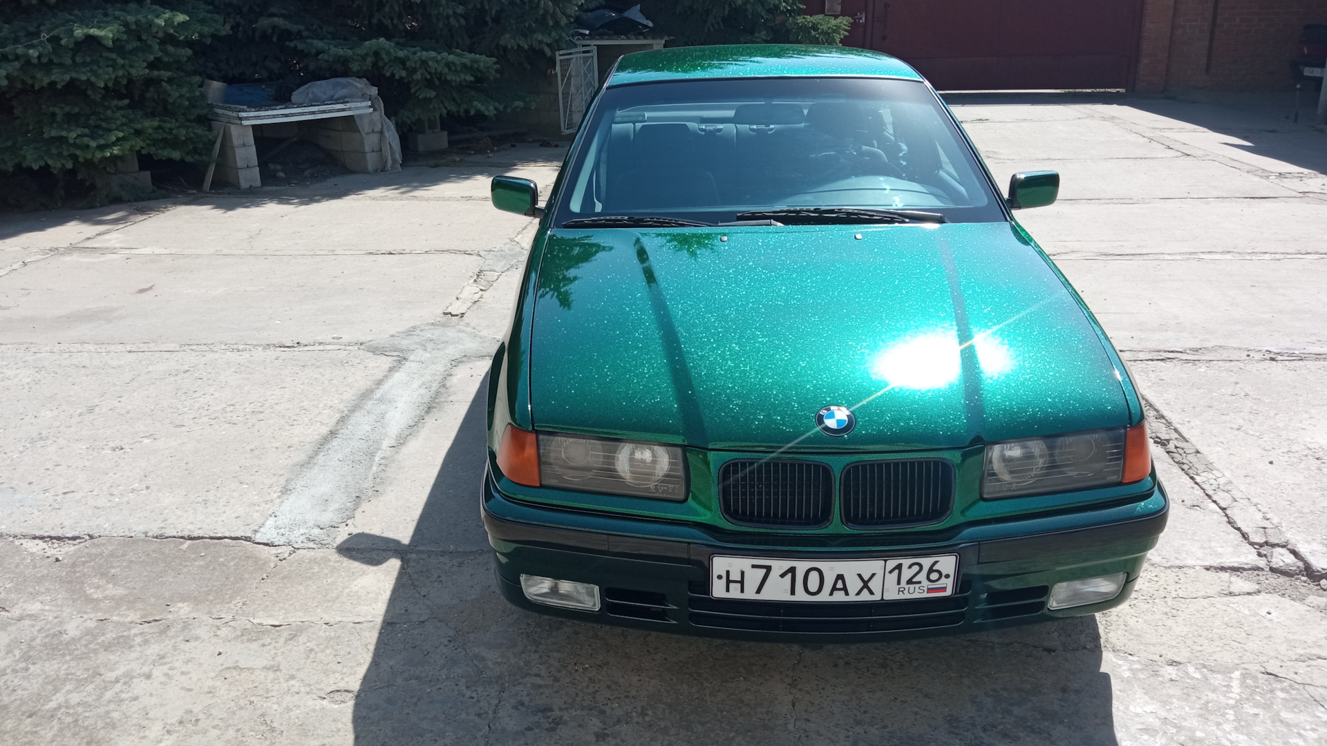 BMW 3 series (E36) 1.6 бензиновый 1992 | Изумрудные флейки на DRIVE2