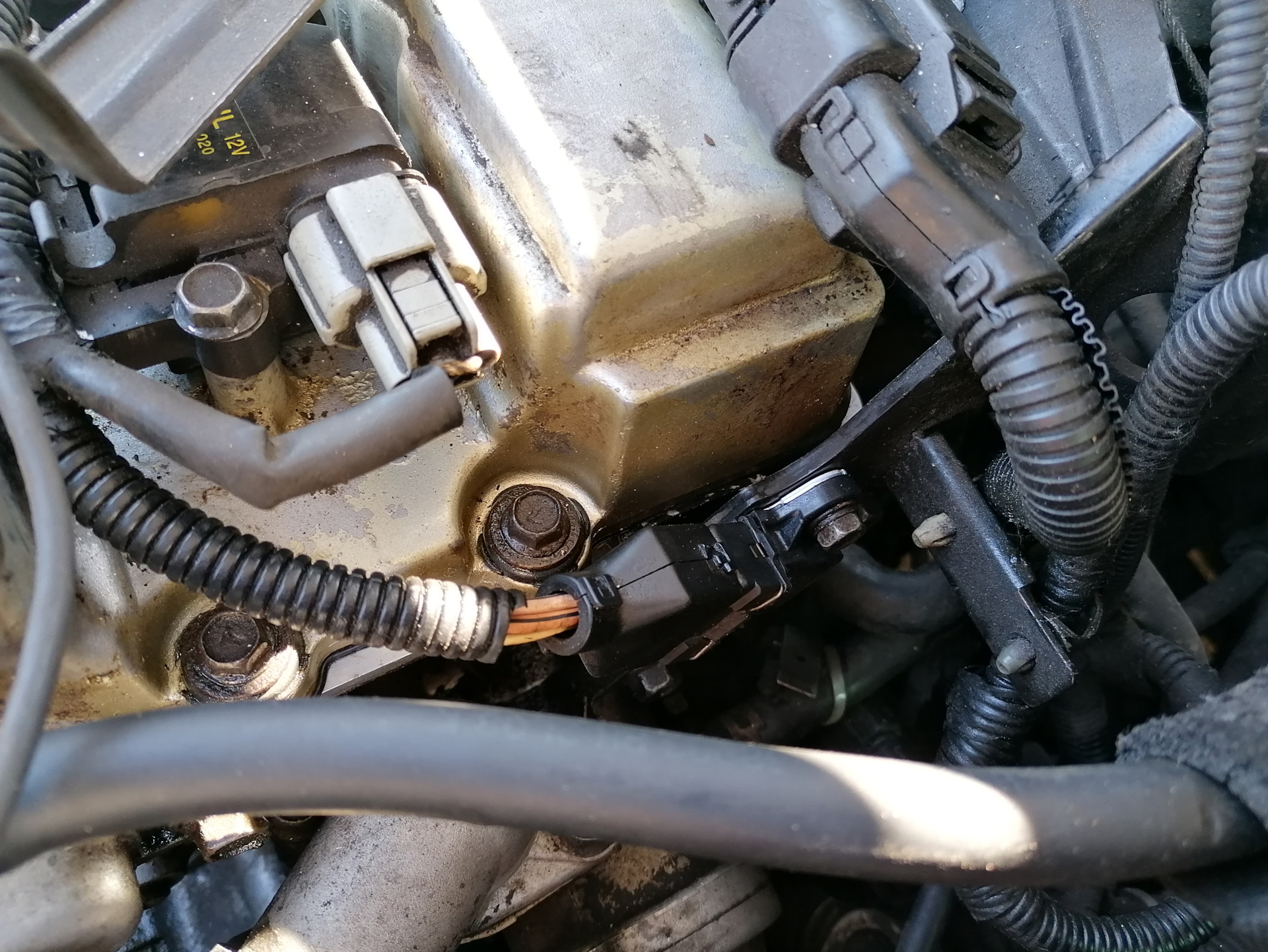 Разъем катушки зажигания 2.4. — Hyundai Santa Fe (1G), 2,4 л, 2003 года ...