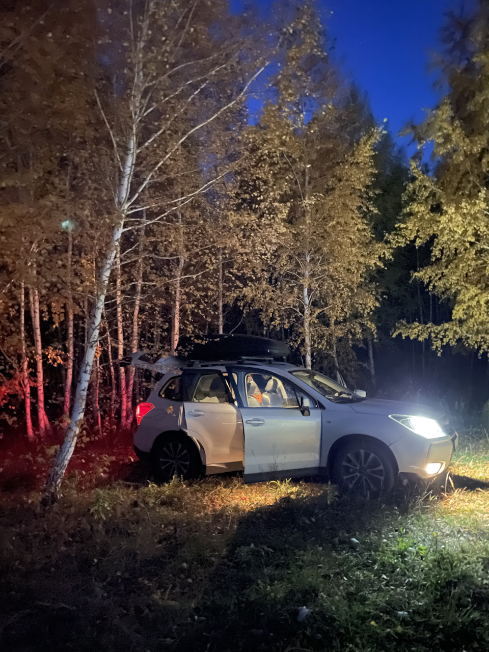 Москва-Нижний-Казань-Челябинск-Омск-Новосибирск — Subaru Forester (SJ), 2  л, 2017 года | путешествие | DRIVE2