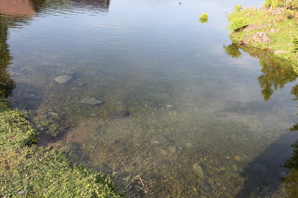 Очень чистая вода в Телецком озере. — Hyundai Creta (1G)