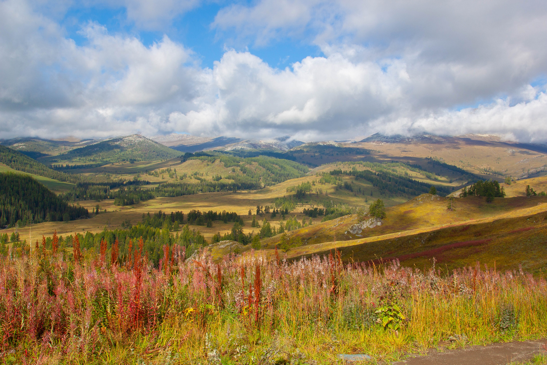 Восточный казахстан фото природы