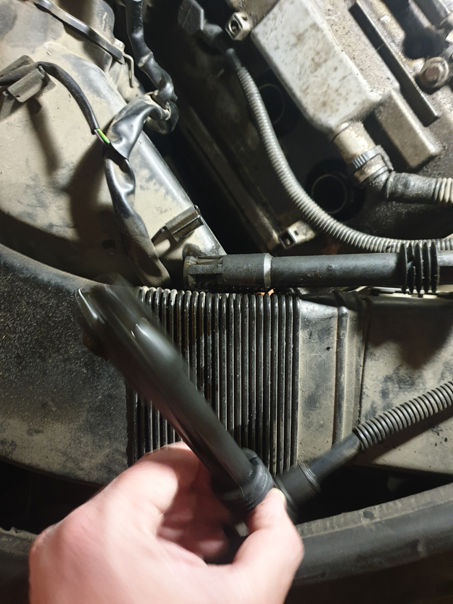 Замена масла в двигателе и вариаторе. Текущие прокладки… — Audi A6 (C5 ...