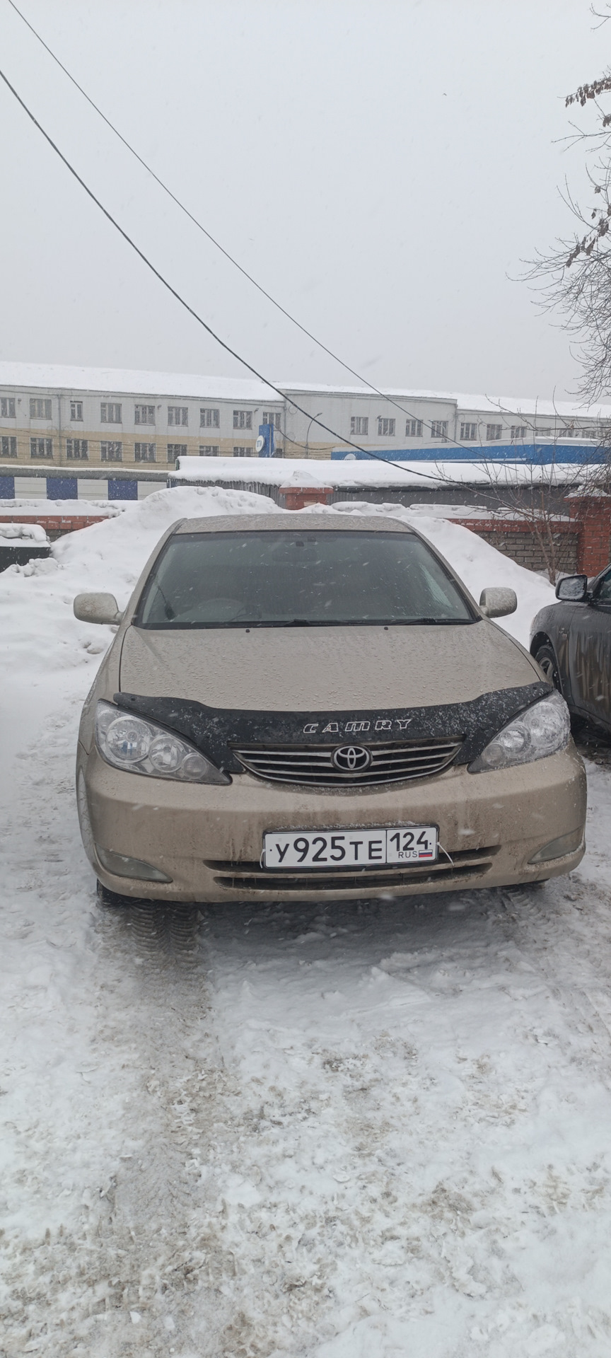 Машина в продаже. — Toyota Camry (XV30), 2 л, 2002 года | продажа машины |  DRIVE2