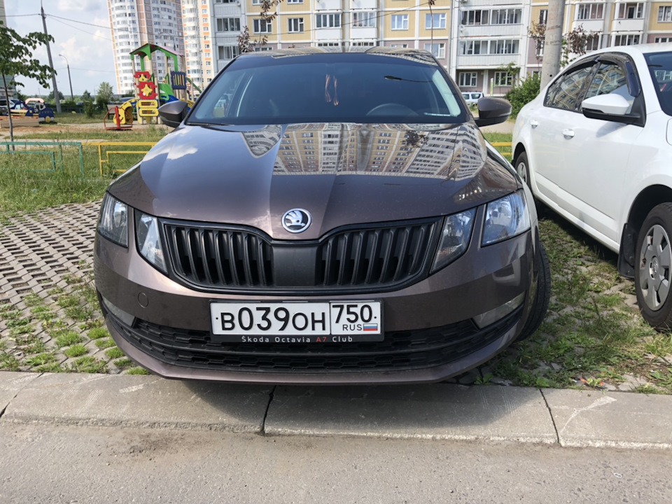 Skoda Octavia Black антихром