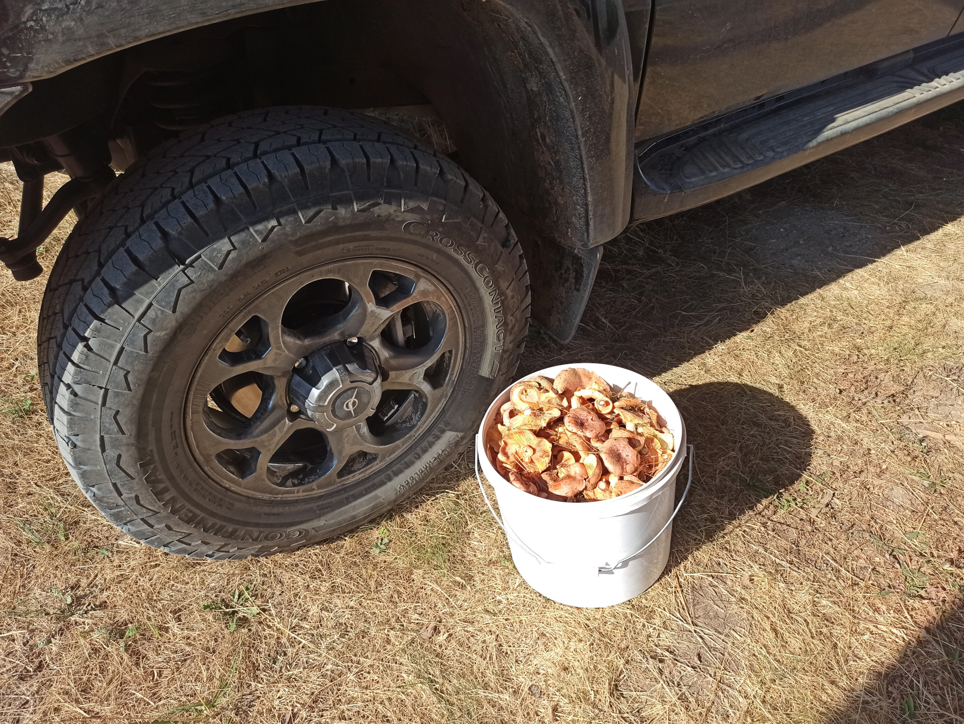 Вот такая вот обкатка. — УАЗ Patriot, 2,7 л, 2023 года | обкатка | DRIVE2