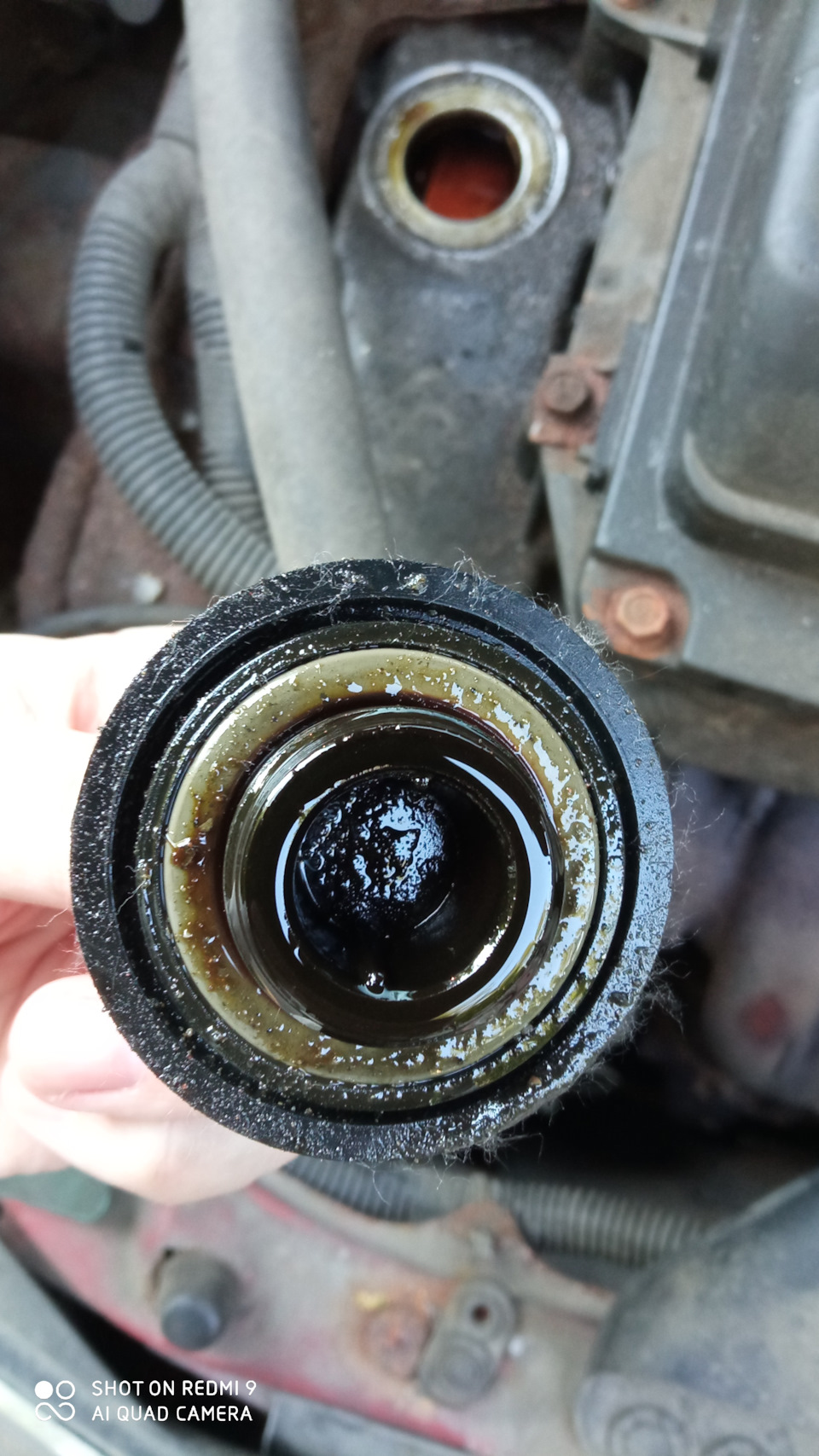 Лирика под масляной крышкой — Nissan Micra (K12C), 1,4 л, 2007 года ...