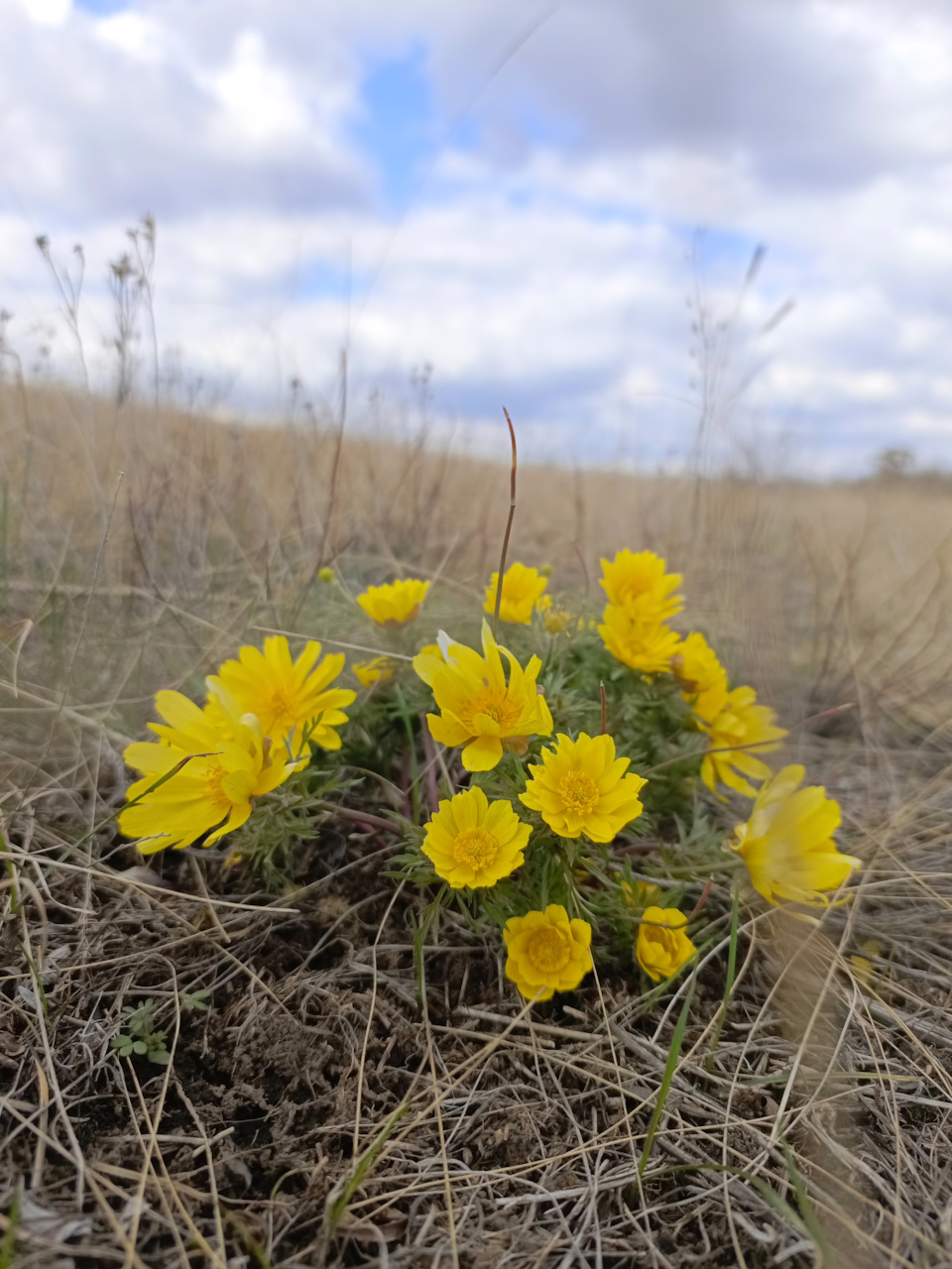 Фото в бортжурнале УАЗ Patriot