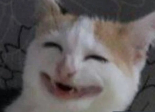 Кот банан плачет мем
