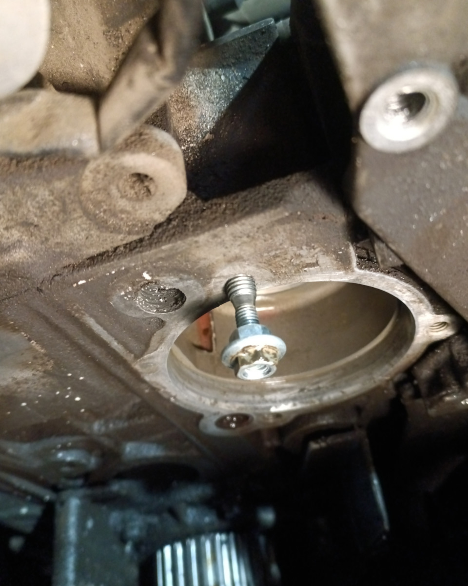 Фото в бортжурнале Skoda Octavia Combi A4 Mk1