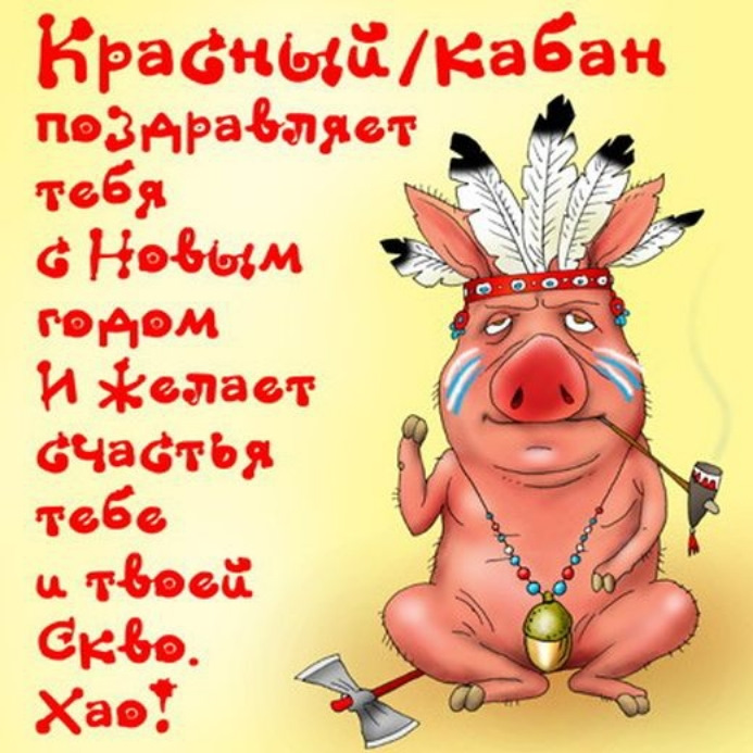 Прикольные открытки поздравления на новый год 2019 смешные взрослые, отличнику