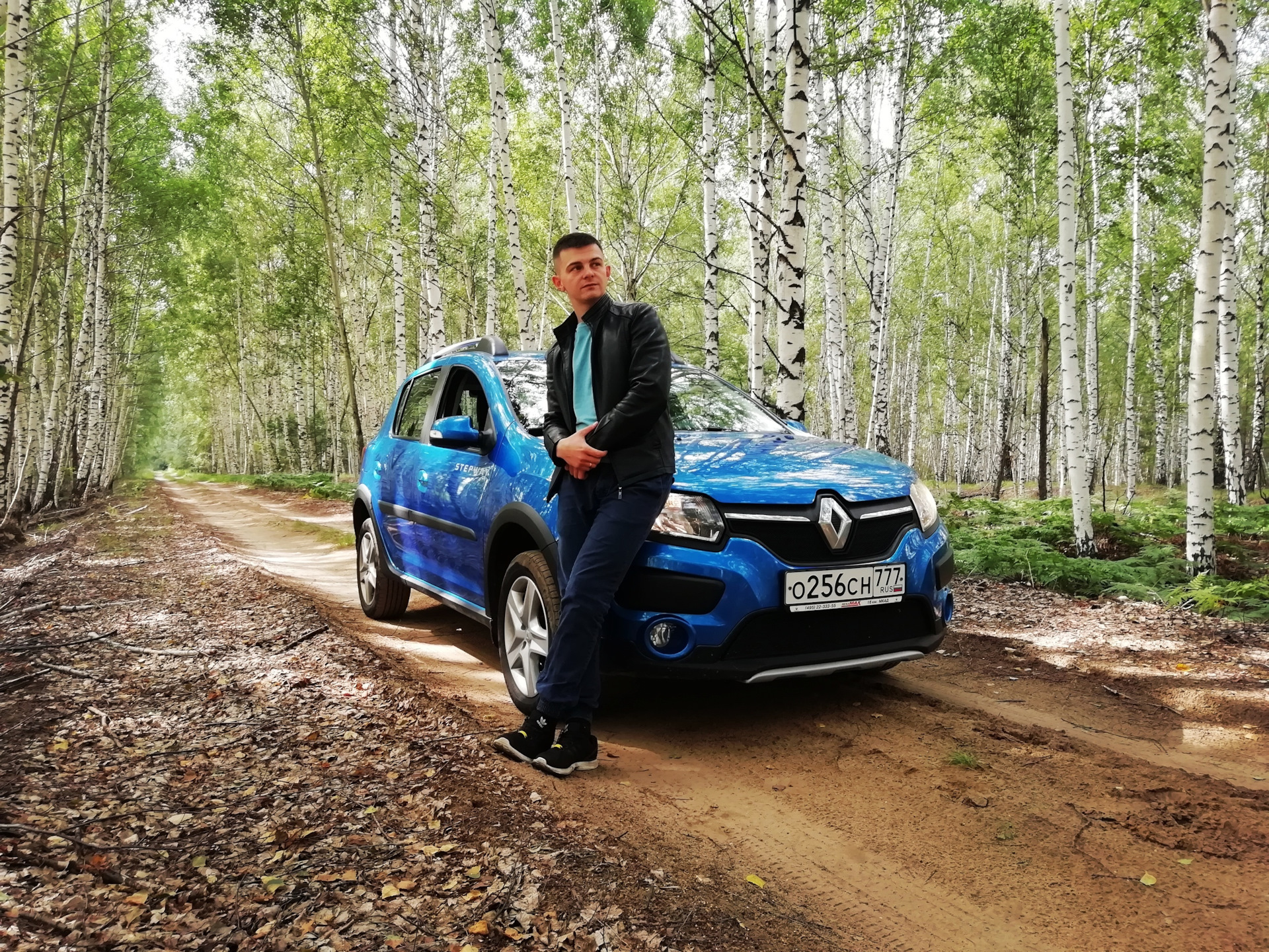 Требуется помощь знатоков! — Renault Sandero Stepway (2G), 1,6 л, 2016 года  | кузовной ремонт | DRIVE2