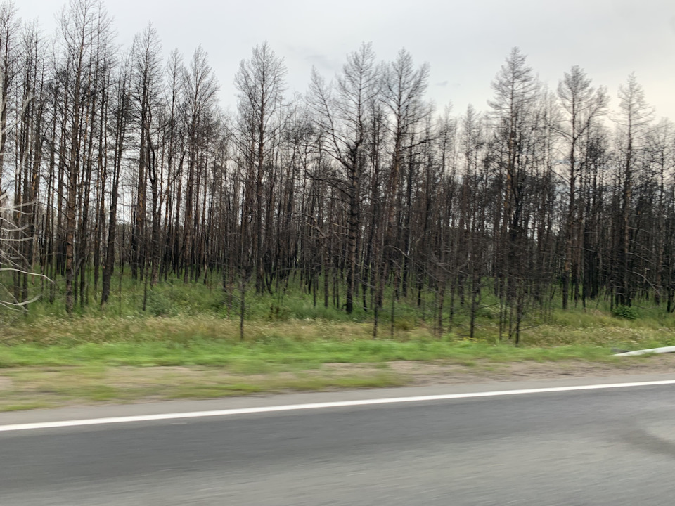 Photo from the logbook Toyota Highlander (XU50)