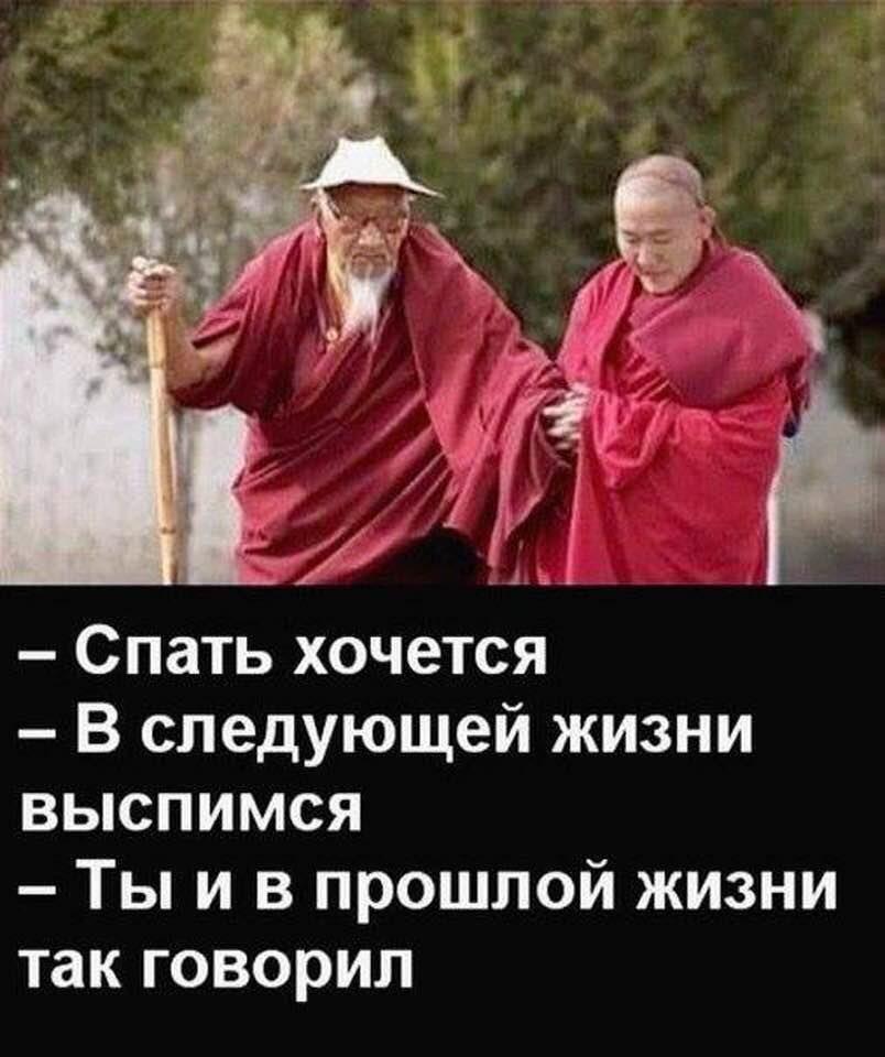 Все суетишься монахи картинка