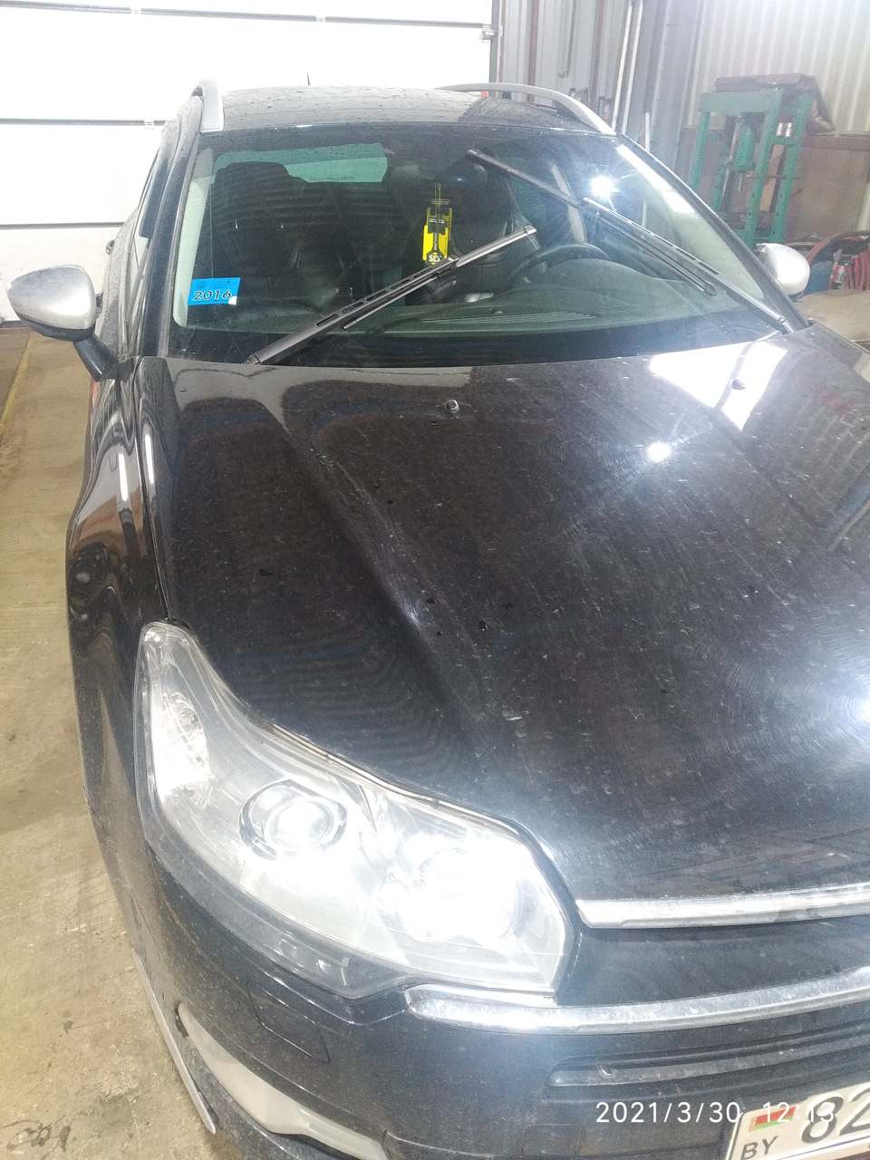 Ежик. — Citroen C5 (2G)