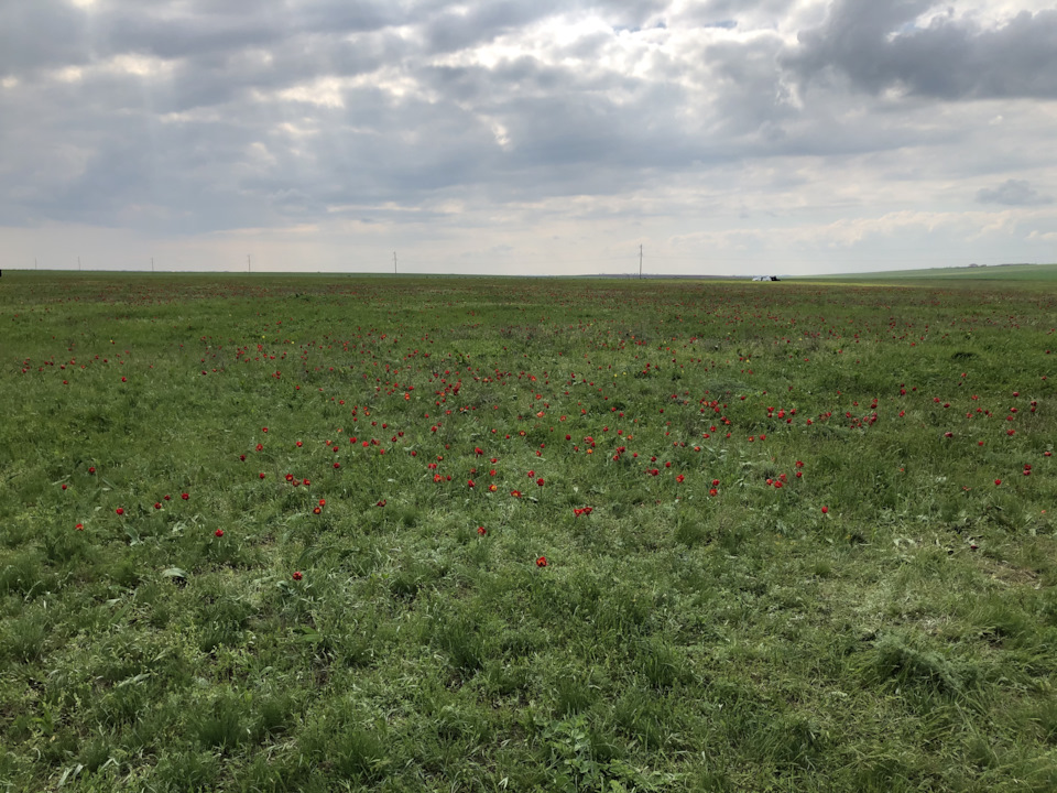 ТО-3, КАСКО, ОСАГО, переобувка и свист сцепления и снова щетки Denso ...