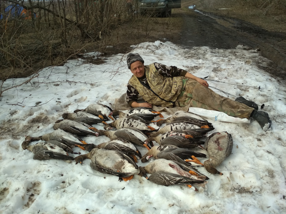 Фото в бортжурнале Mitsubishi L200 (4G)