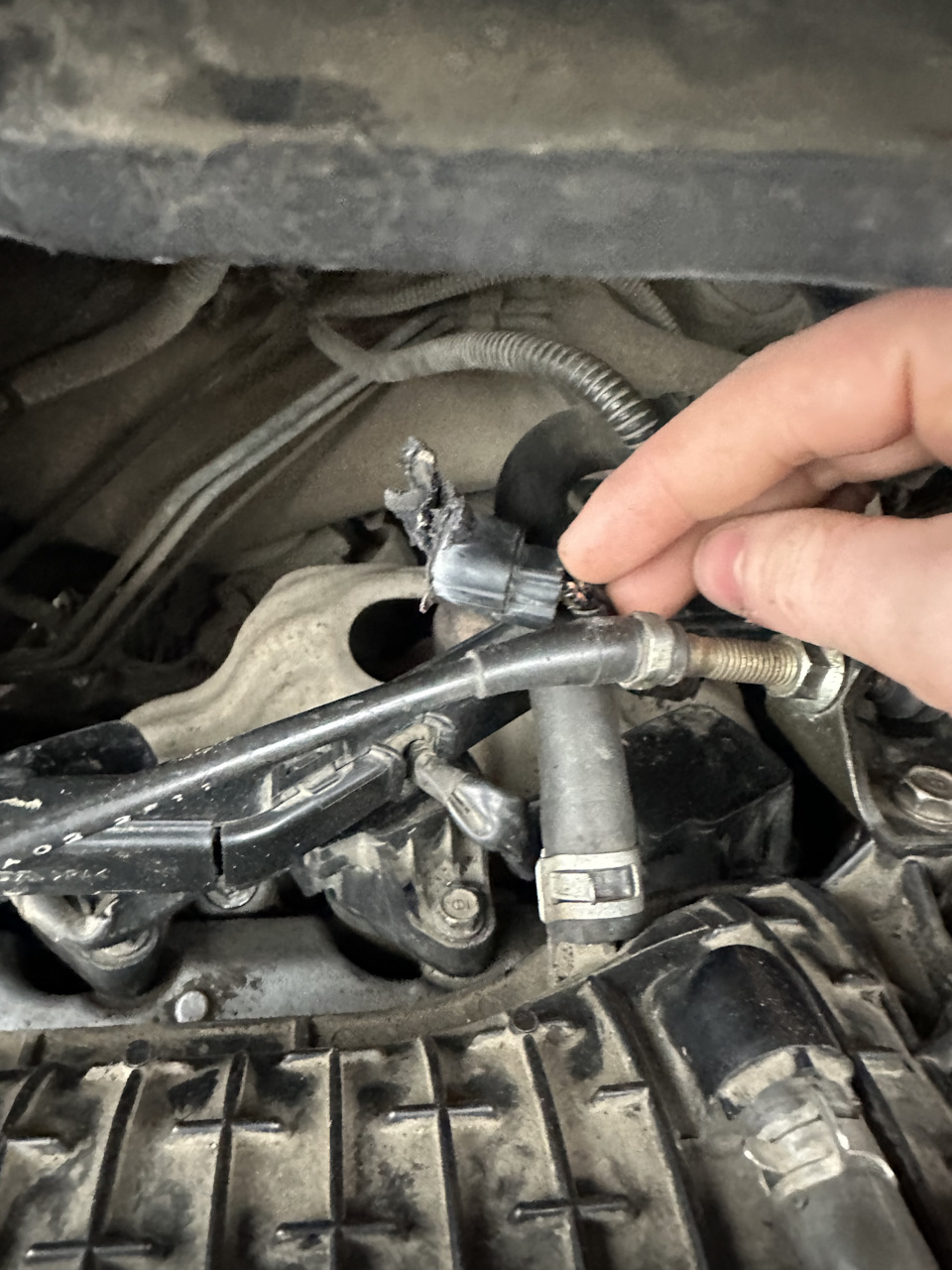 Сгорела катушка — Honda Fit (1G), 1,3 л, 2002 года | электроника | DRIVE2