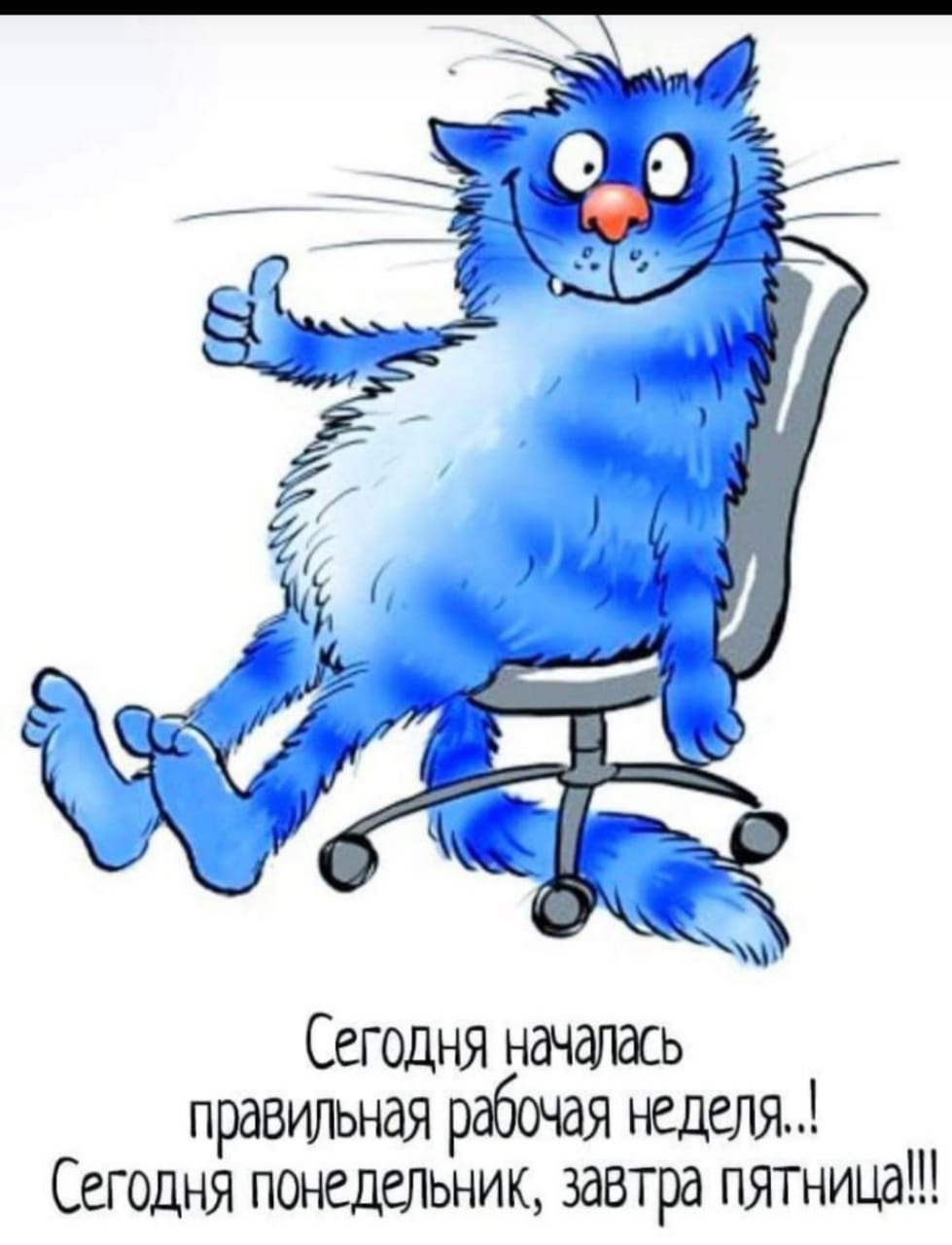 Конец рабочего понедельника. Синие коты. Синий кот с надписями. Синие коты с надписями. Синие коты понедельник.