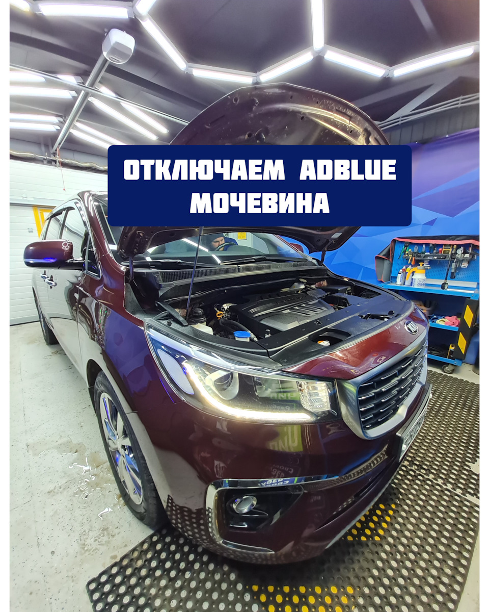 Kia Carnival отключение мочевины AdBlue 📲WhatsApp: +7-928-112-112-0 — Авто  Драйв на DRIVE2