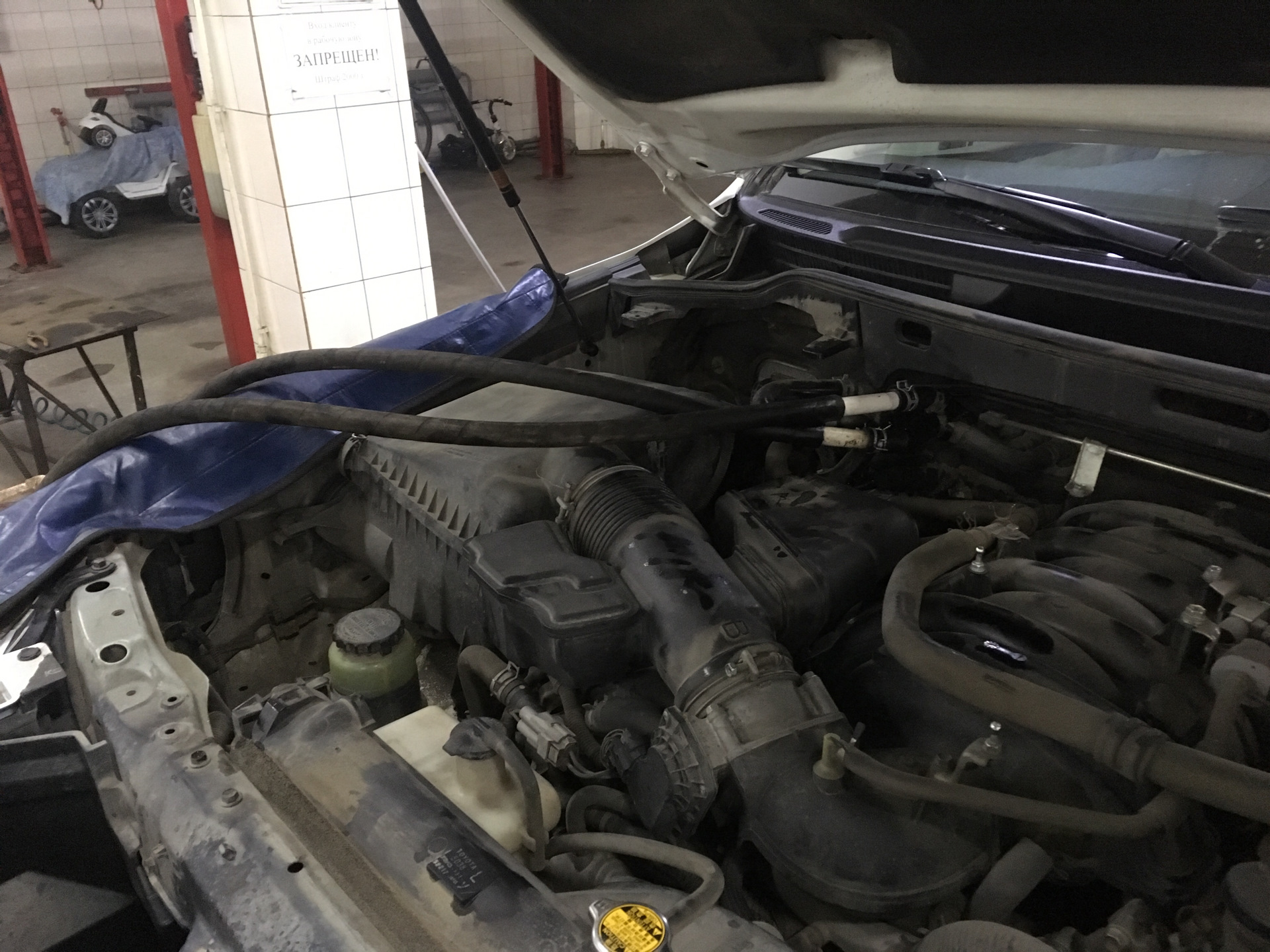 Промывка печек без снятия — Lexus LX (URJ200/URJ201), 5,7 л, 2008 года ...