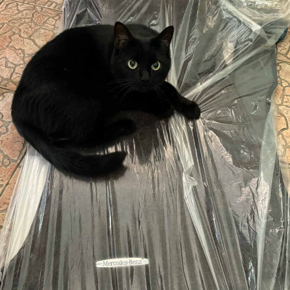 Unpacking kitty — Mercedes-Benz E-Class (W213)