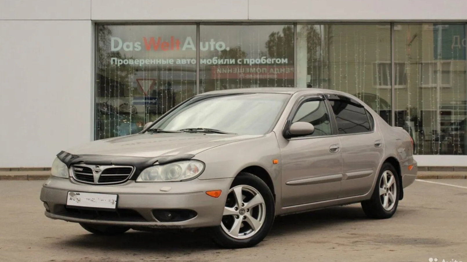 Nissan Maxima V (A33) 2.0 бензиновый 2001 | Плотва на DRIVE2