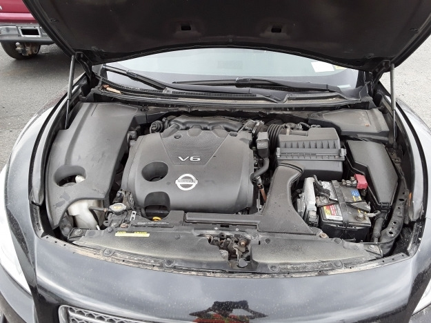 maxima a35 — DRIVE2