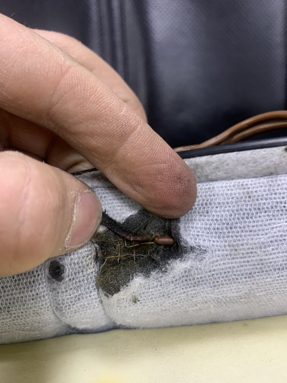 Фото в бортжурнале BMW 7 series (E65/E66)