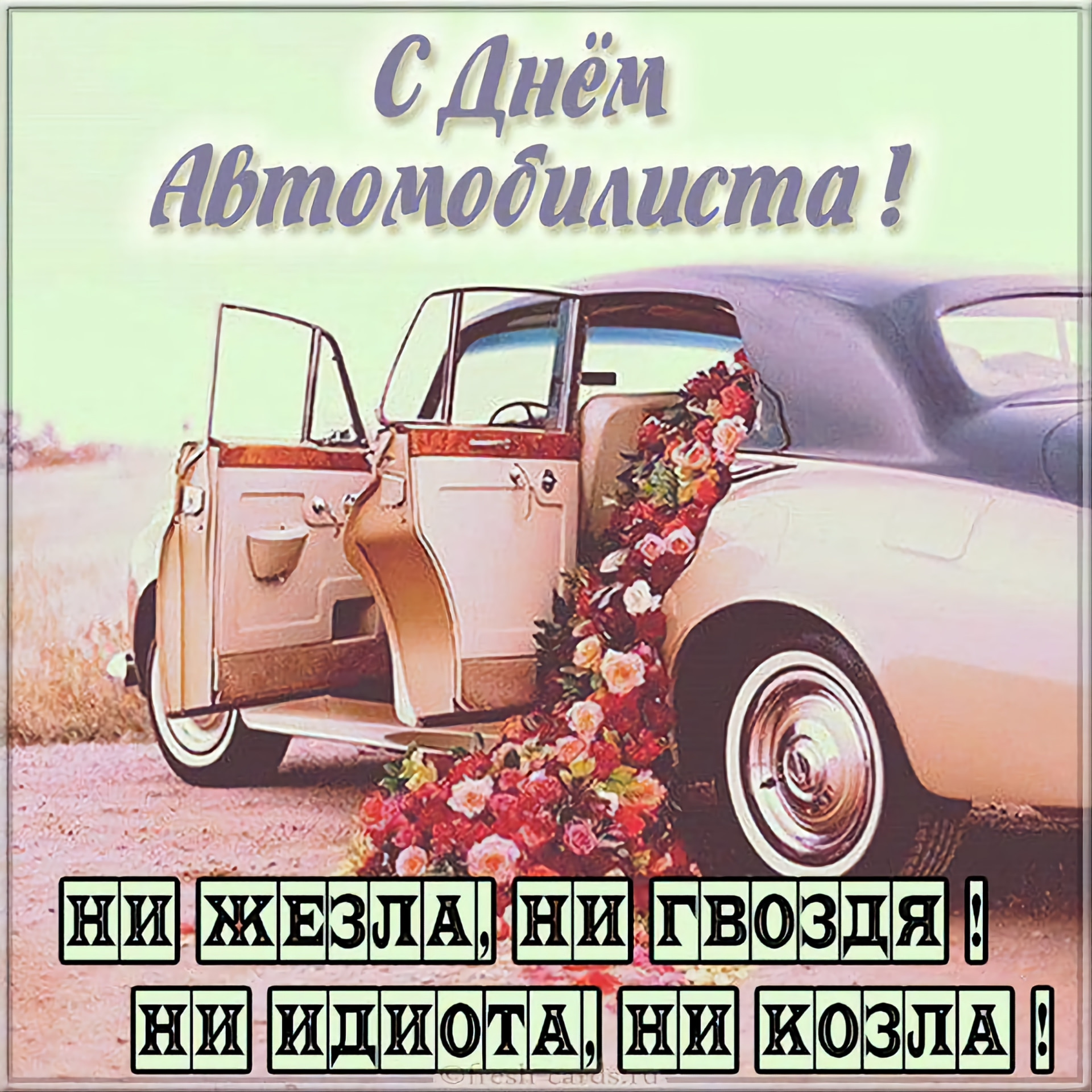 Картинка прекрасной автоледи