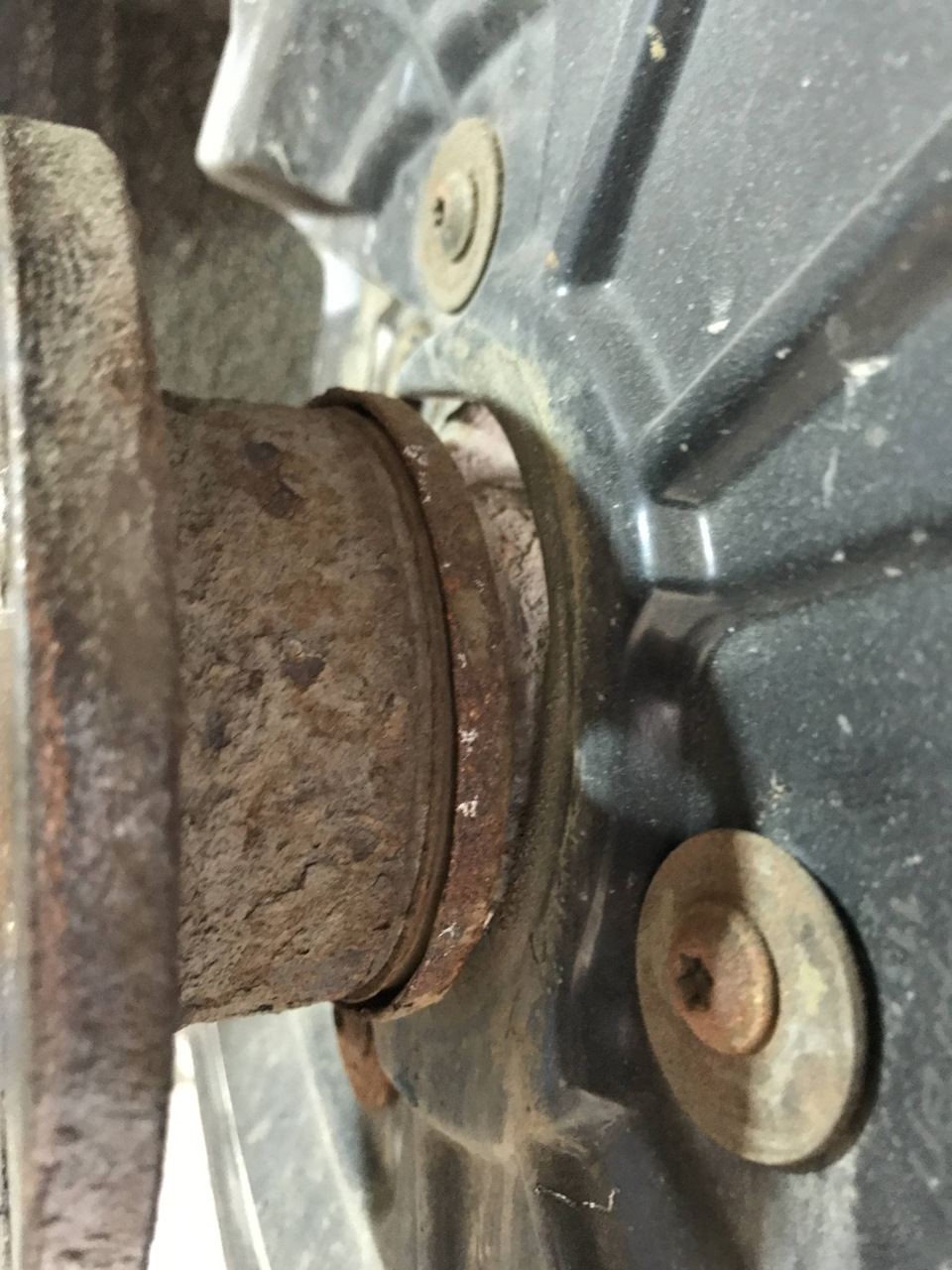 Вот это место и крышка — Skoda Superb Combi (Mk2)