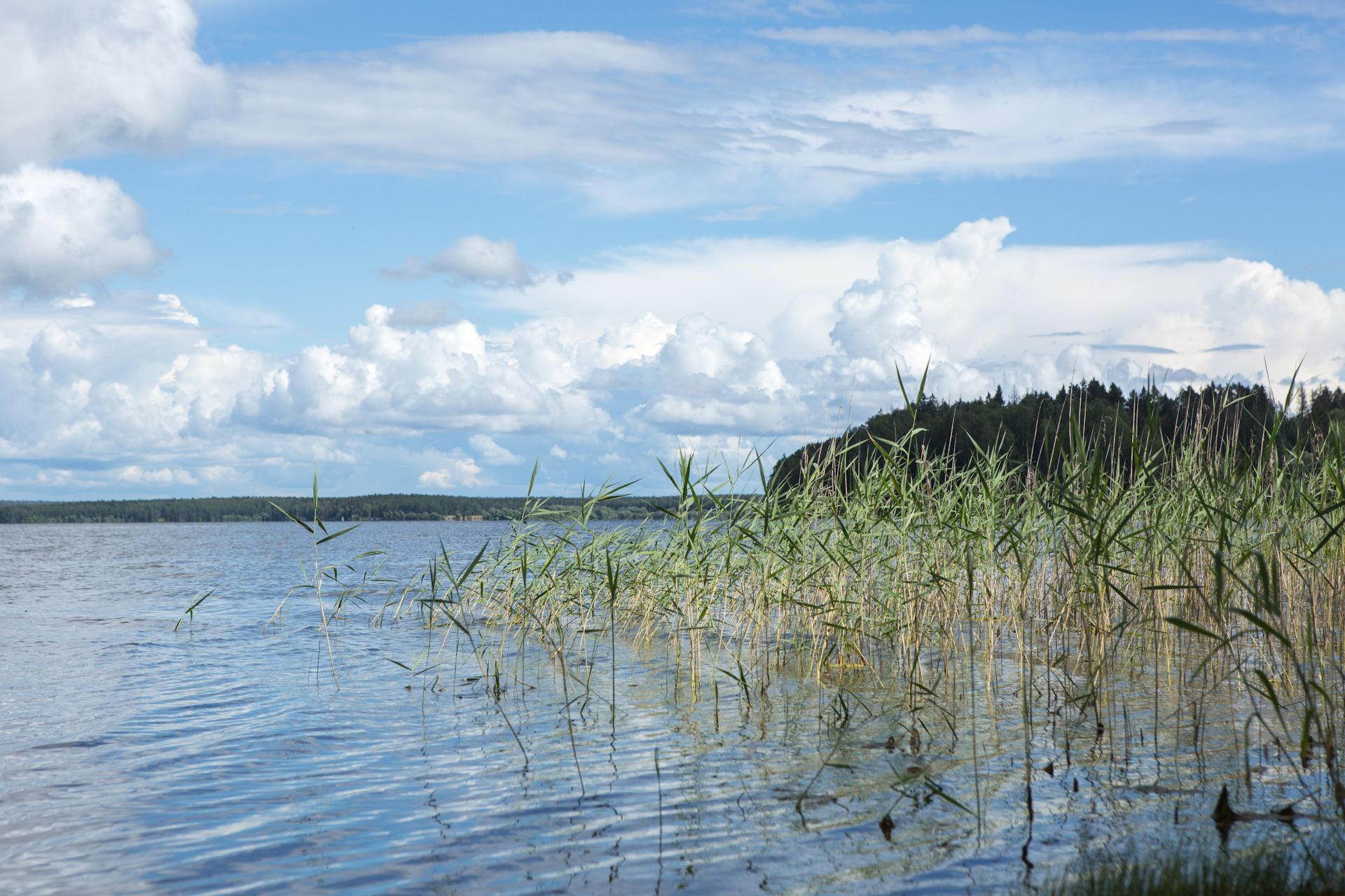 Фото озернинского водохранилища