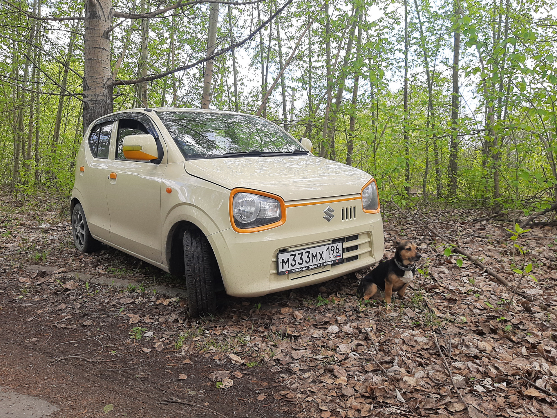 По тихоньку на продажу. — Suzuki Alto (8G), 0,7 л, 2015 года | продажа  машины | DRIVE2