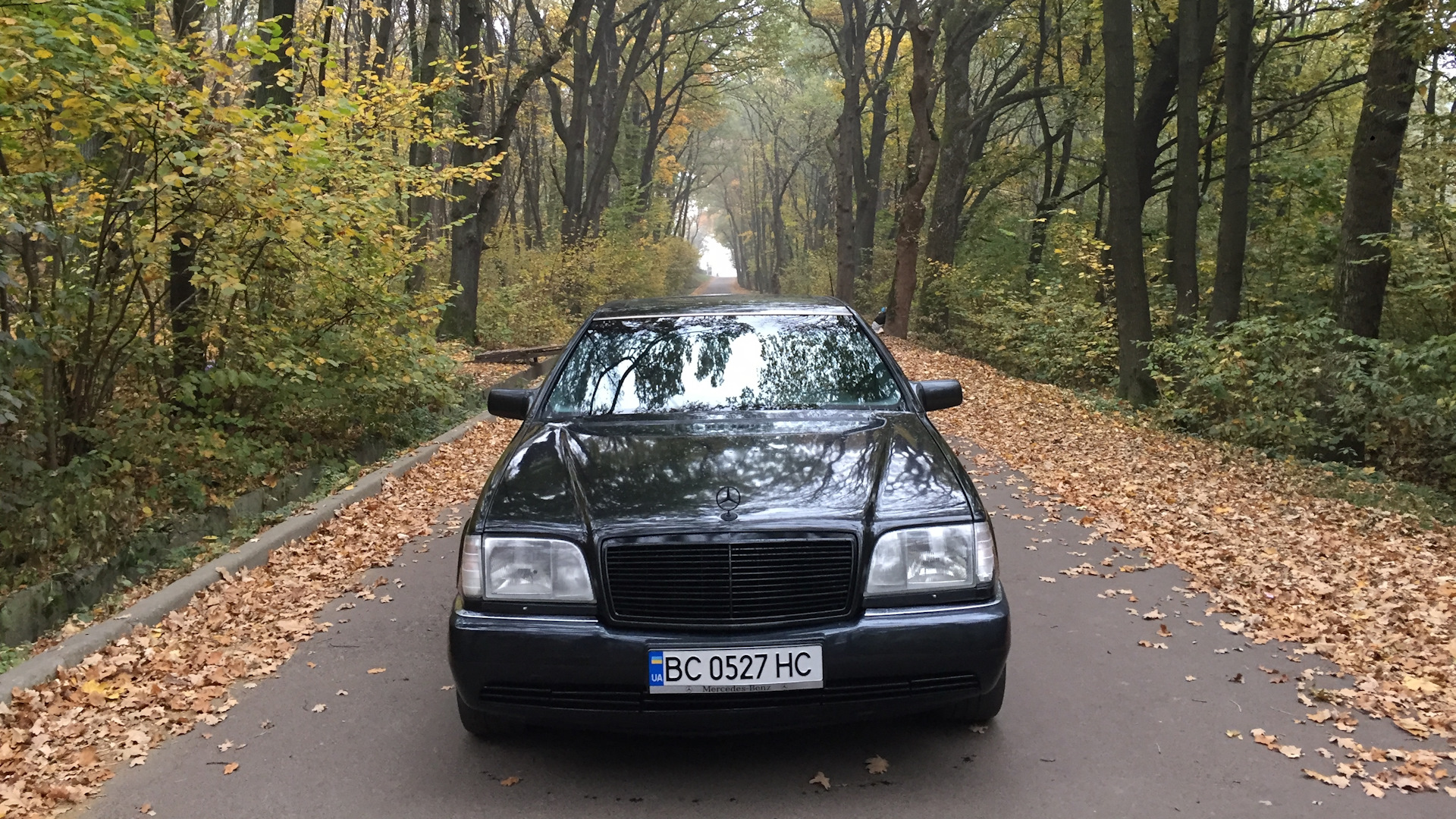 Mercedes-Benz S-Class (W140) 5.0 бензиновый 1993 | на DRIVE2